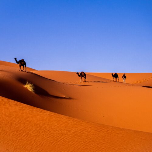 THE SAHARA IN 3 DAYS