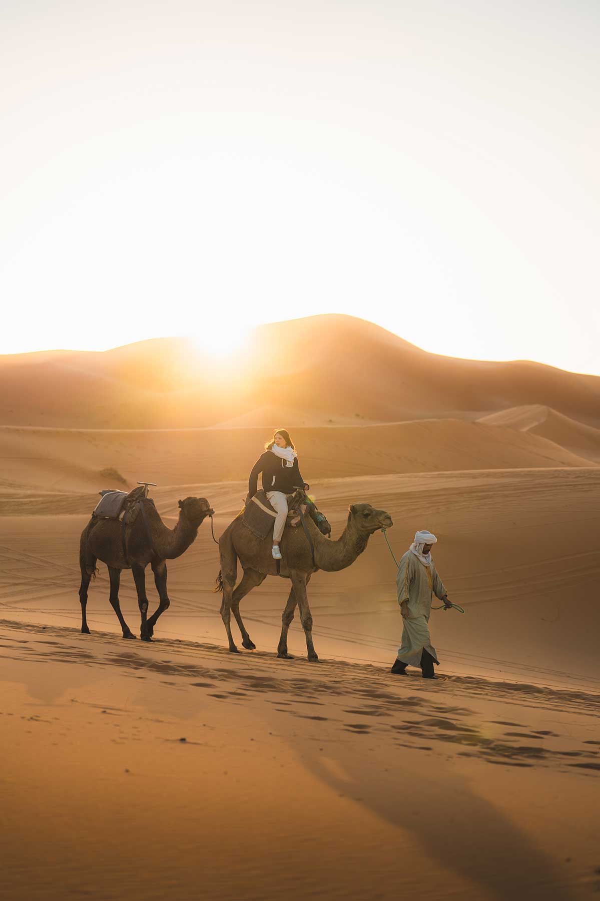 highlight-sahara-golden-dunes