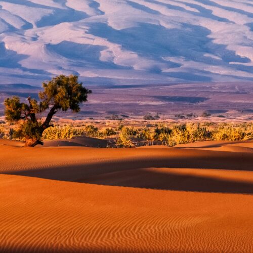 MOROCCO DESERT TOUR FROM TANGIER